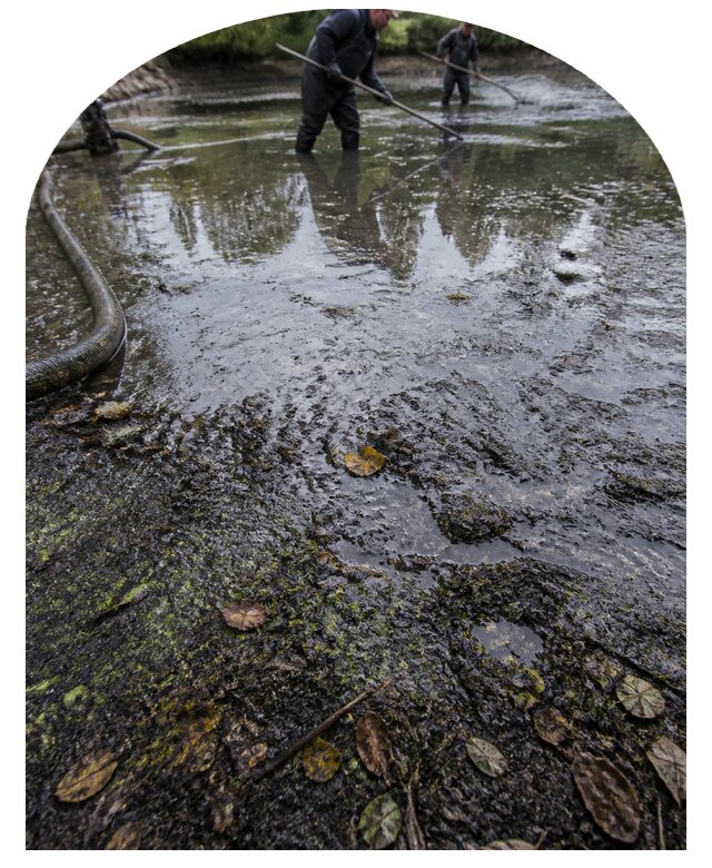 Очистка пруда в Королёве от ила мусора и водорослей с вывозом